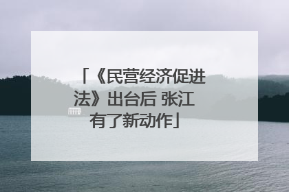 《民营经济促进法》出台后 张江有了新动作