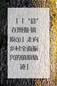 「“县”在图强·镇原③」走向乡村全面振兴的镇原轨迹
