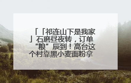 「祁连山下是我家」石磨昼夜转，订单“粮”辰到！高台这个村靠黑小麦面粉拿下成立来最大订单