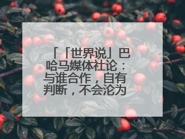 「世界说」巴哈马媒体社论：与谁合作，自有判断，不会沦为“权力游戏”