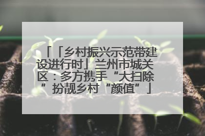 「乡村振兴示范带建设进行时」兰州市城关区:多方携手“大扫除”扮靓乡村“颜值”