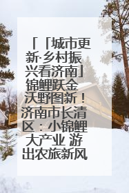 「城市更新·乡村振兴看济南」锦鲤跃金 沃野图新！济南市长清区：小锦鲤大产业 游出农旅新风景