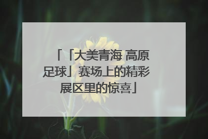 「大美青海 高原足球」赛场上的精彩 展区里的惊喜