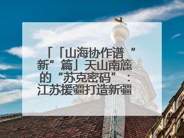 「山海协作谱“新”篇」天山南簏的“苏克密码”：江苏援疆打造新疆克州制造新引擎