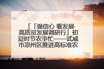 「强信心 看发展·高质量发展调研行」初夏时节农事忙——武威市凉州区推进高标准农田建设见闻