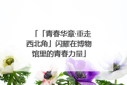 「青春华章·重走西北角」闪耀在博物馆里的青春力量
