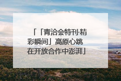 「青洽会特刊·精彩瞬间」高原心跳 在开放合作中澎湃