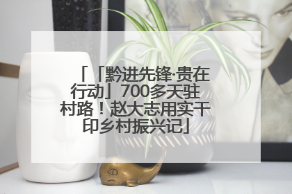 「黔进先锋·贵在行动」700多天驻村路！赵大志用实干印乡村振兴记