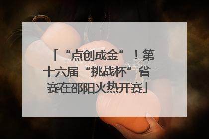 “点创成金”！第十六届“挑战杯”省赛在邵阳火热开赛