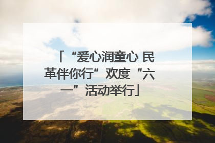 “爱心润童心 民革伴你行”欢度“六一”活动举行