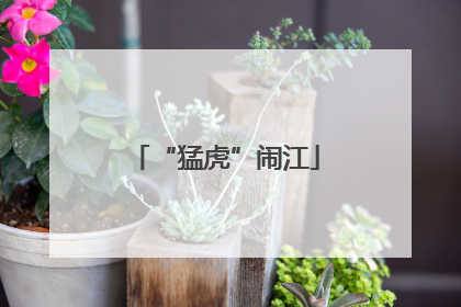 “猛虎”闹江