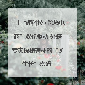 “硬科技+跨境电商”双轮驱动 外籍专家探秘碑林的“逆生长”密码