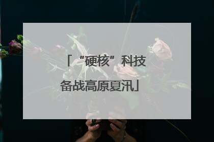 “硬核”科技备战高原夏汛