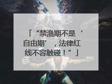 “禁渔期不是‘自由期’，法律红线不容触碰！”