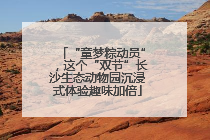 “童梦粽动员”，这个“双节”长沙生态动物园沉浸式体验趣味加倍