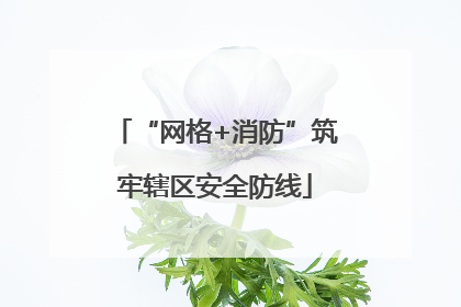 “网格+消防”筑牢辖区安全防线