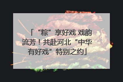 “粽”享好戏 戏韵流芳！共赴河北“中华有好戏”特别之约