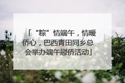“粽”情端午，情暖侨心，巴西青田同乡总会举办端午慰侨活动