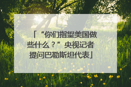 “你们指望美国做些什么？”央视记者提问巴勒斯坦代表