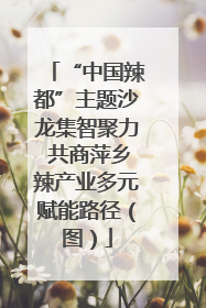 “中国辣都”主题沙龙集智聚力 共商萍乡辣产业多元赋能路径（图）