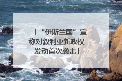 “伊斯兰国”宣称对叙利亚新政权发动首次袭击