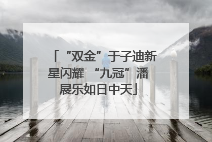 “双金”于子迪新星闪耀 “九冠”潘展乐如日中天