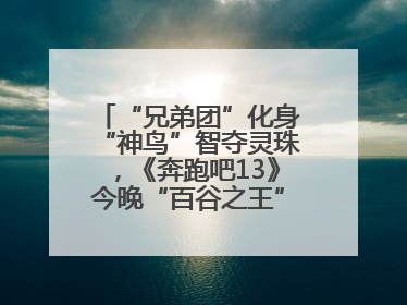“兄弟团”化身“神鸟”智夺灵珠，《奔跑吧13》今晚“百谷之王”花落谁家？
