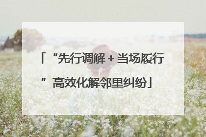 “先行调解＋当场履行”高效化解邻里纠纷