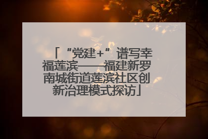 “党建+”谱写幸福莲滨——福建新罗南城街道莲滨社区创新治理模式探访