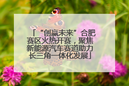 “创赢未来”合肥赛区火热开赛，聚焦新能源汽车赛道助力长三角一体化发展