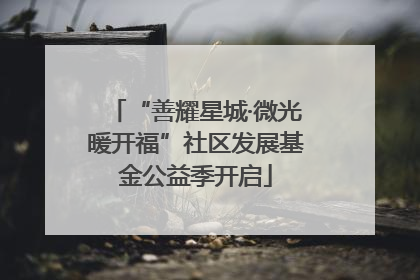 “善耀星城·微光暖开福”社区发展基金公益季开启