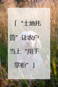 “土地托管”让农户当上“甩手掌柜”