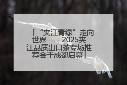 “夹江青绿”走向世界——2025夹江品质出口茶专场推荐会于成都启幕
