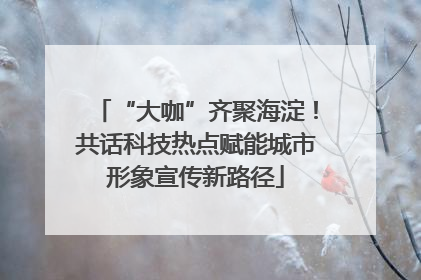 “大咖”齐聚海淀！共话科技热点赋能城市形象宣传新路径