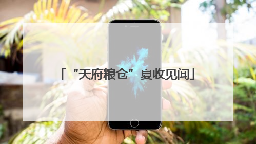 “天府粮仓”夏收见闻