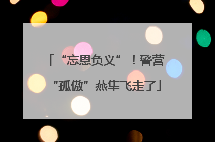 “忘恩负义”！警营“孤傲”燕隼飞走了