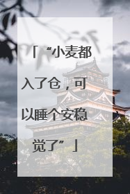 “小麦都入了仓，可以睡个安稳觉了”