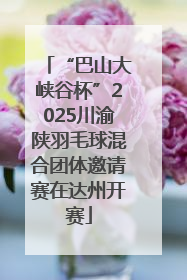 “巴山大峡谷杯”2025川渝陕羽毛球混合团体邀请赛在达州开赛