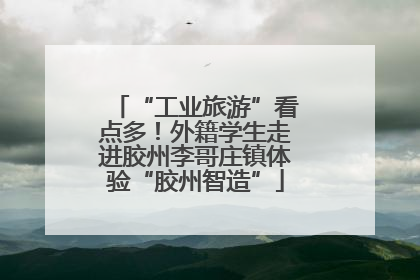 “工业旅游”看点多！外籍学生走进胶州李哥庄镇体验“胶州智造”
