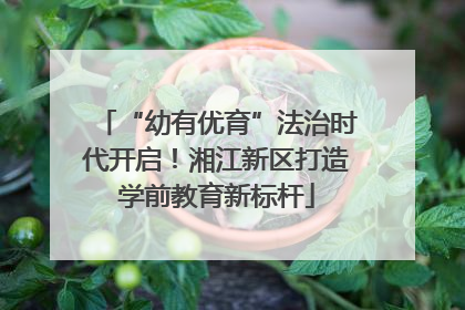 “幼有优育”法治时代开启！湘江新区打造学前教育新标杆