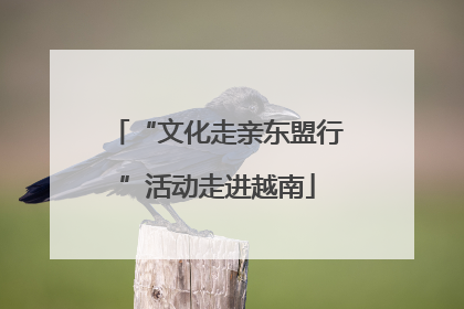 “文化走亲东盟行”活动走进越南
