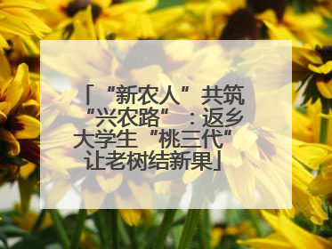 “新农人”共筑“兴农路”：返乡大学生“桃三代”让老树结新果