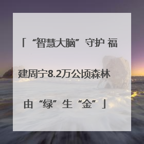 “智慧大脑”守护 福建周宁8.2万公顷森林由“绿”生“金”