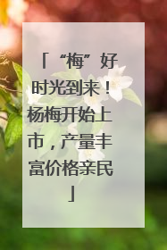 “梅”好时光到来！杨梅开始上市，产量丰富价格亲民