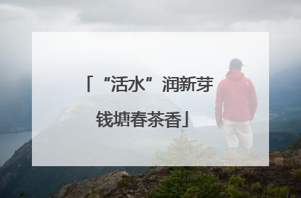 “活水”润新芽 钱塘春茶香