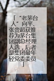 “老茅台人”向平、张贵超获推荐为茅台集团副总经理人选，后者是集团最年轻党委委员