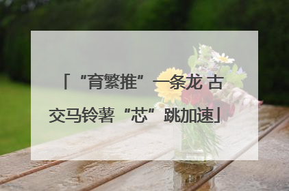 “育繁推”一条龙 古交马铃薯“芯”跳加速