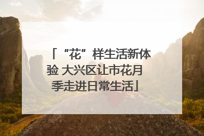 “花”样生活新体验 大兴区让市花月季走进日常生活