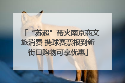 “苏超”带火南京商文旅消费 携球赛票根到新街口购物可享优惠