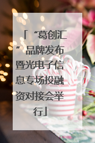“葛创汇”品牌发布暨光电子信息专场投融资对接会举行